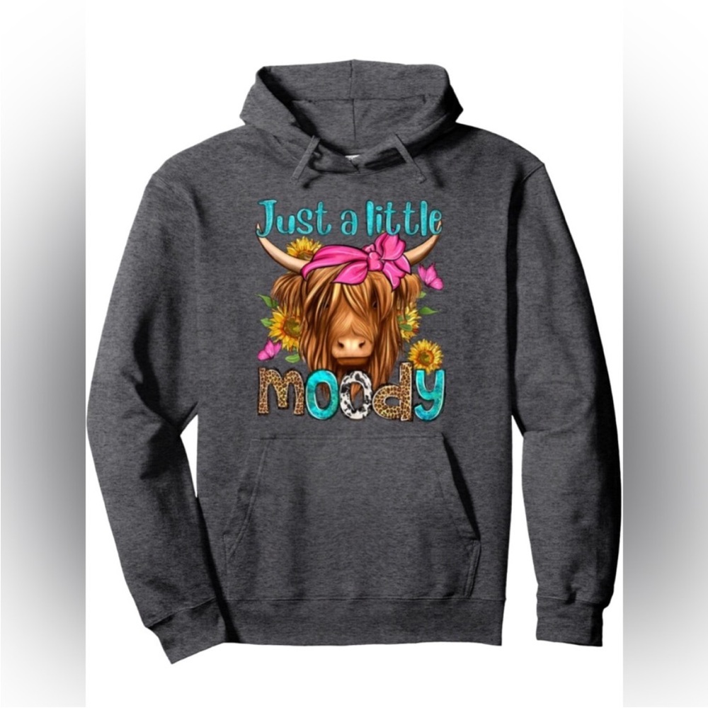 Gray Graphic Hoodie - Just a Little Moody